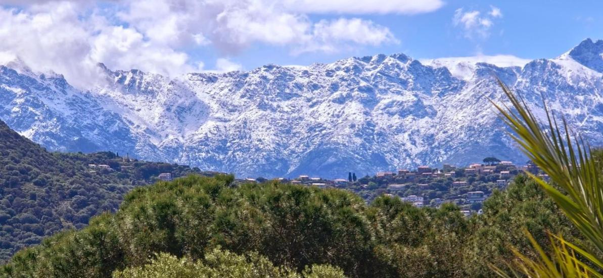 Hotel Cala Di L'Oru LʼÎle-Rousse Dış mekan fotoğraf