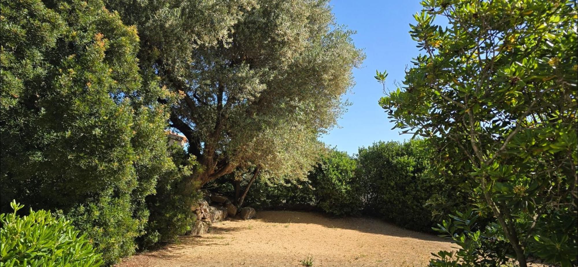 Hotel Cala Di L'Oru LʼÎle-Rousse Dış mekan fotoğraf