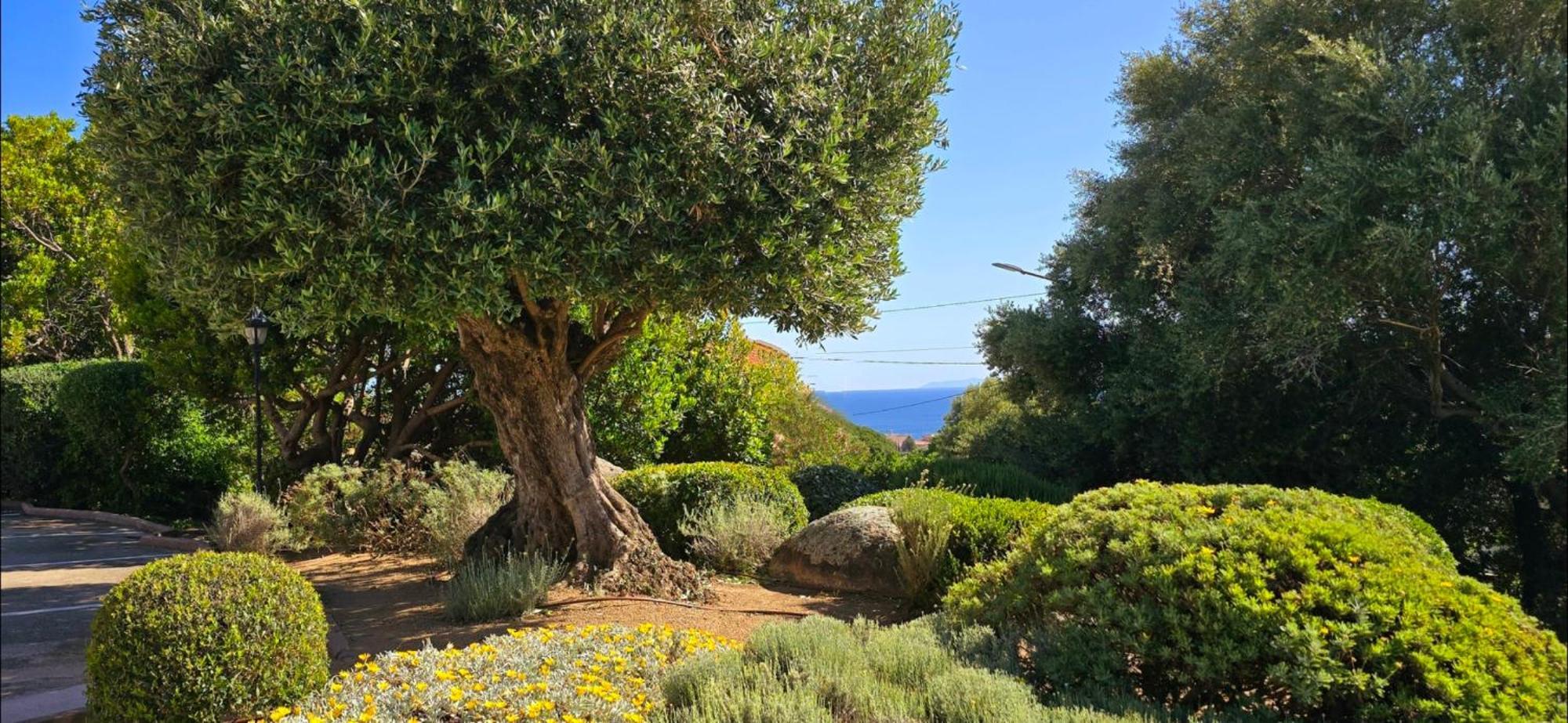 Hotel Cala Di L'Oru LʼÎle-Rousse Dış mekan fotoğraf