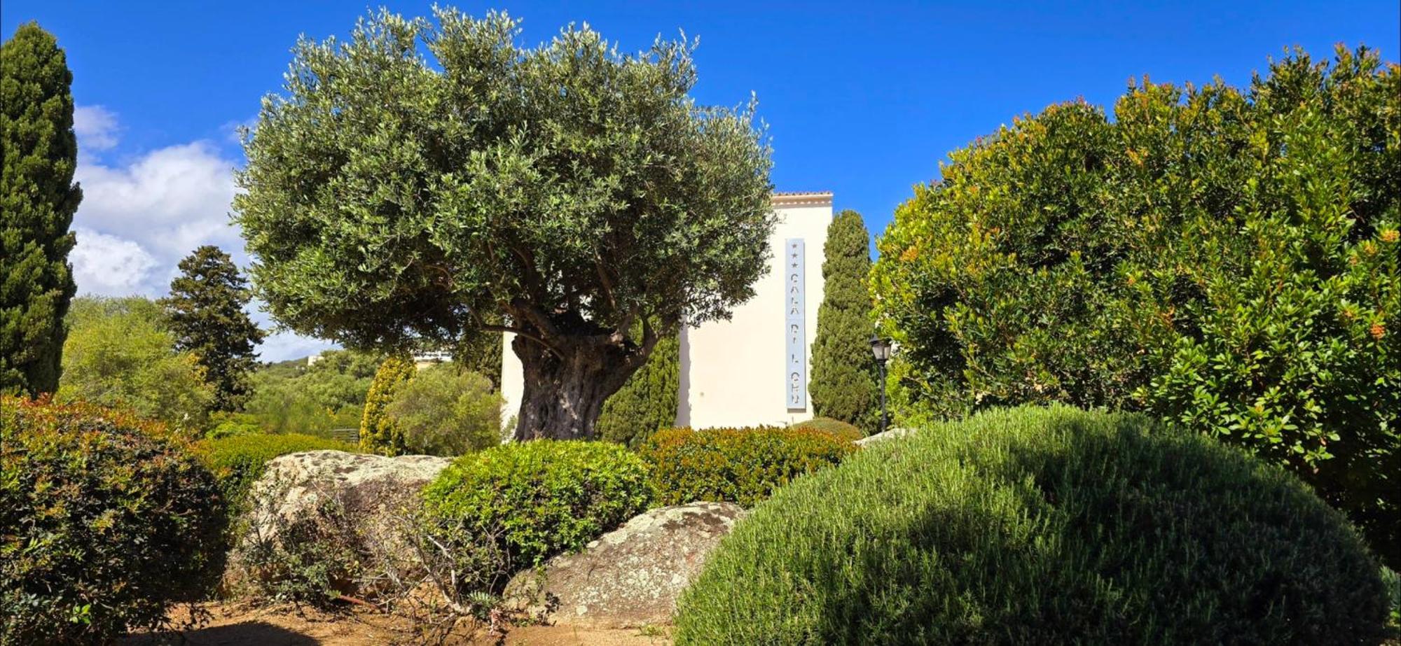 Hotel Cala Di L'Oru LʼÎle-Rousse Dış mekan fotoğraf