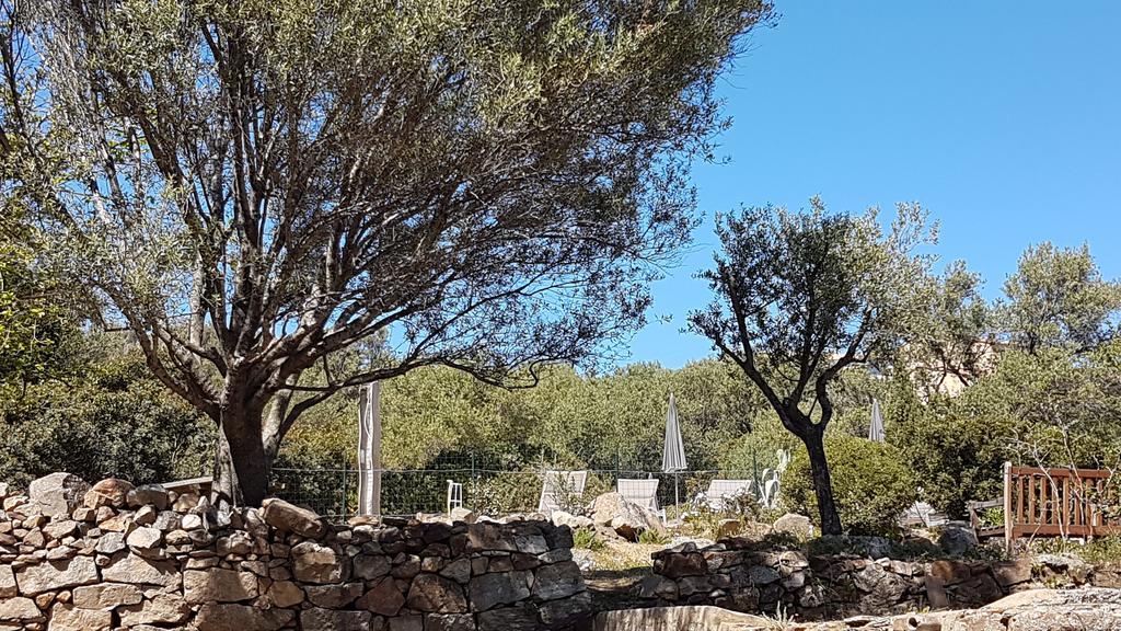 Hotel Cala Di L'Oru LʼÎle-Rousse Dış mekan fotoğraf