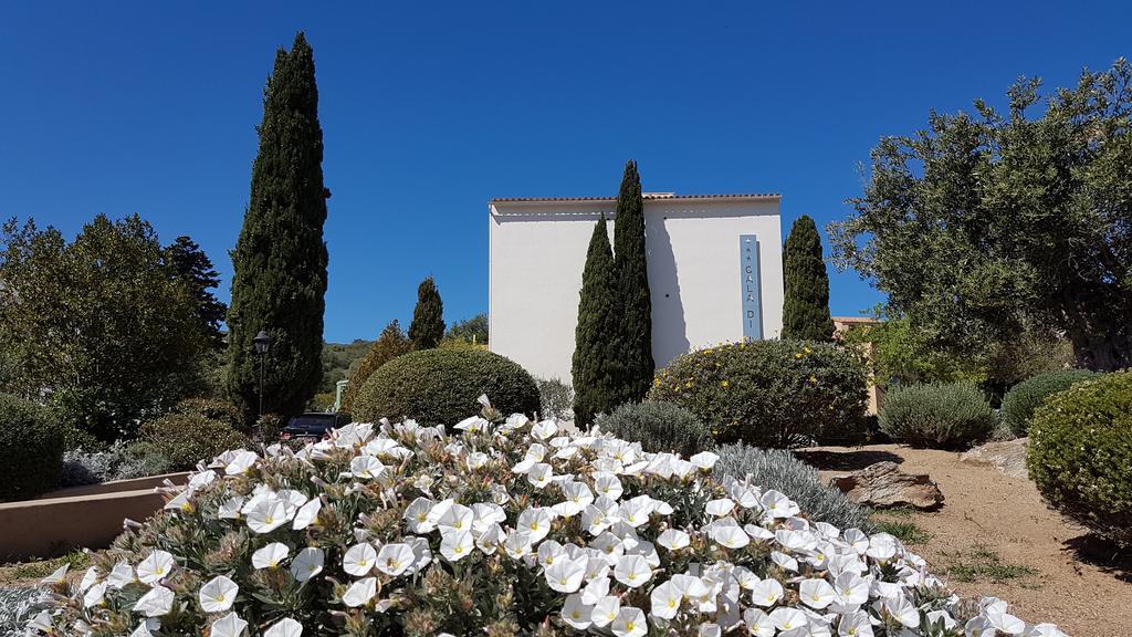 Hotel Cala Di L'Oru LʼÎle-Rousse Dış mekan fotoğraf